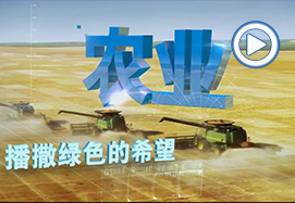 &#29615;&#29699;&#40;&#20013;&#22269;&#41;&#20307;&#32946;&#23448;&#26041;&#32593;&#31449;